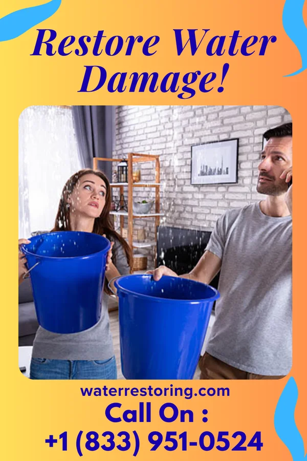 water restoration Superior Water Damage Group New Castle